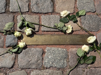 Stolperschwellenumlegung Hubertusburg (1)